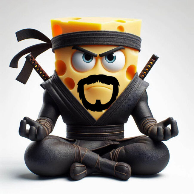 The Artistic Ninja